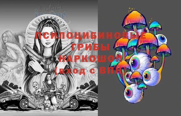 a pvp Аркадак