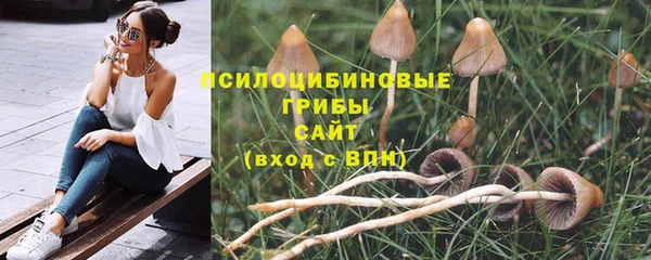 a pvp Аркадак