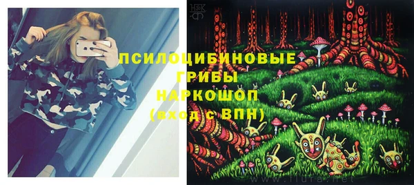 a pvp Аркадак