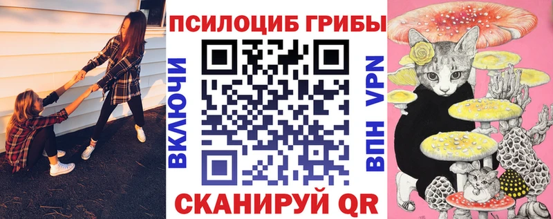 Галлюциногенные грибы Cubensis  Новоуральск 